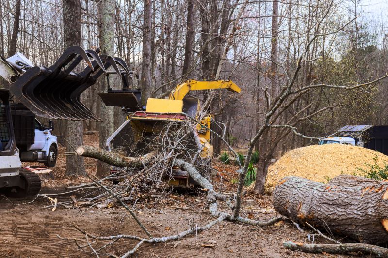 Emergency Tree Removal Equipment in Use